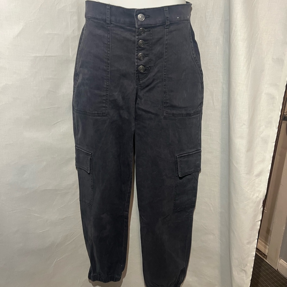 Express ankle pants